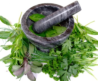 This photo of herbs being ground to make herbal remedies with a mortar and pestle was taken by an unknown photographer.